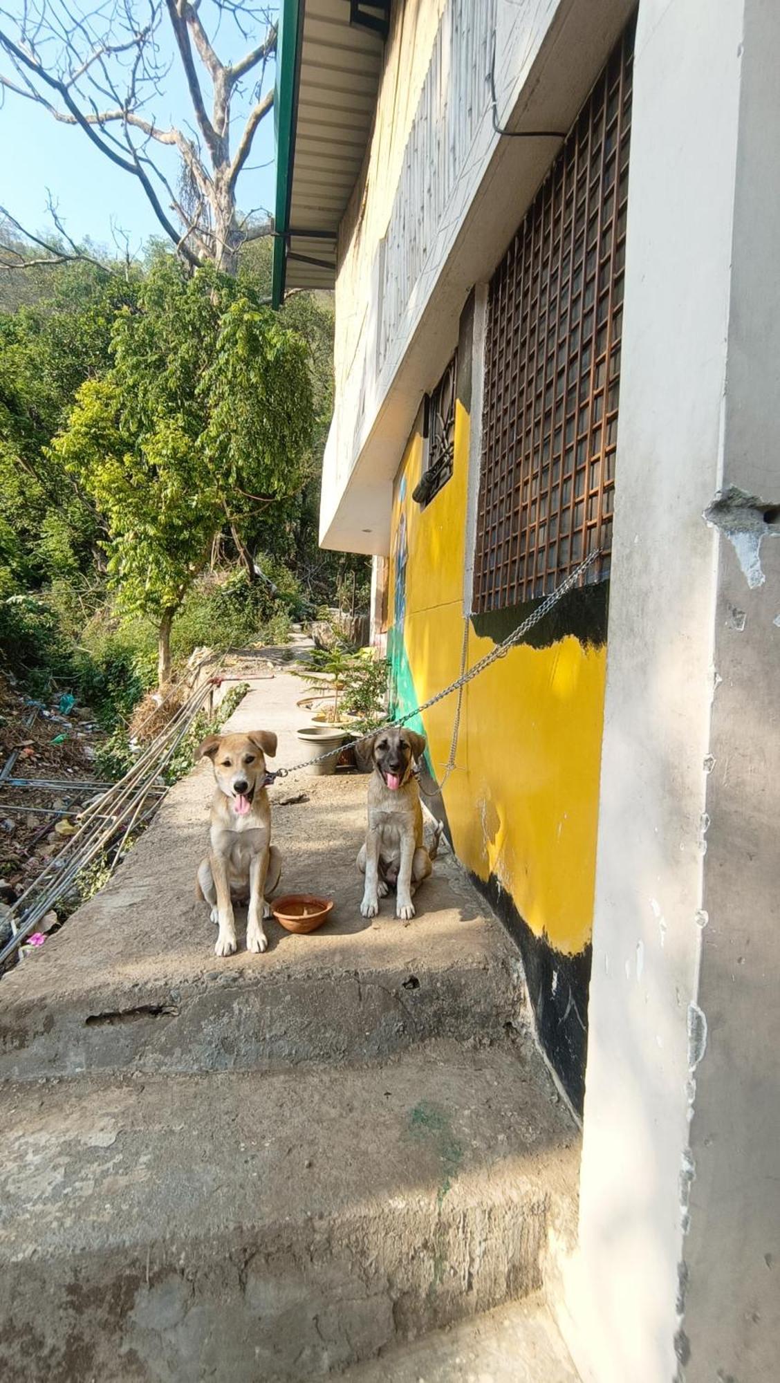 Blabla House Rishikesh Rishīkesh Exterior foto